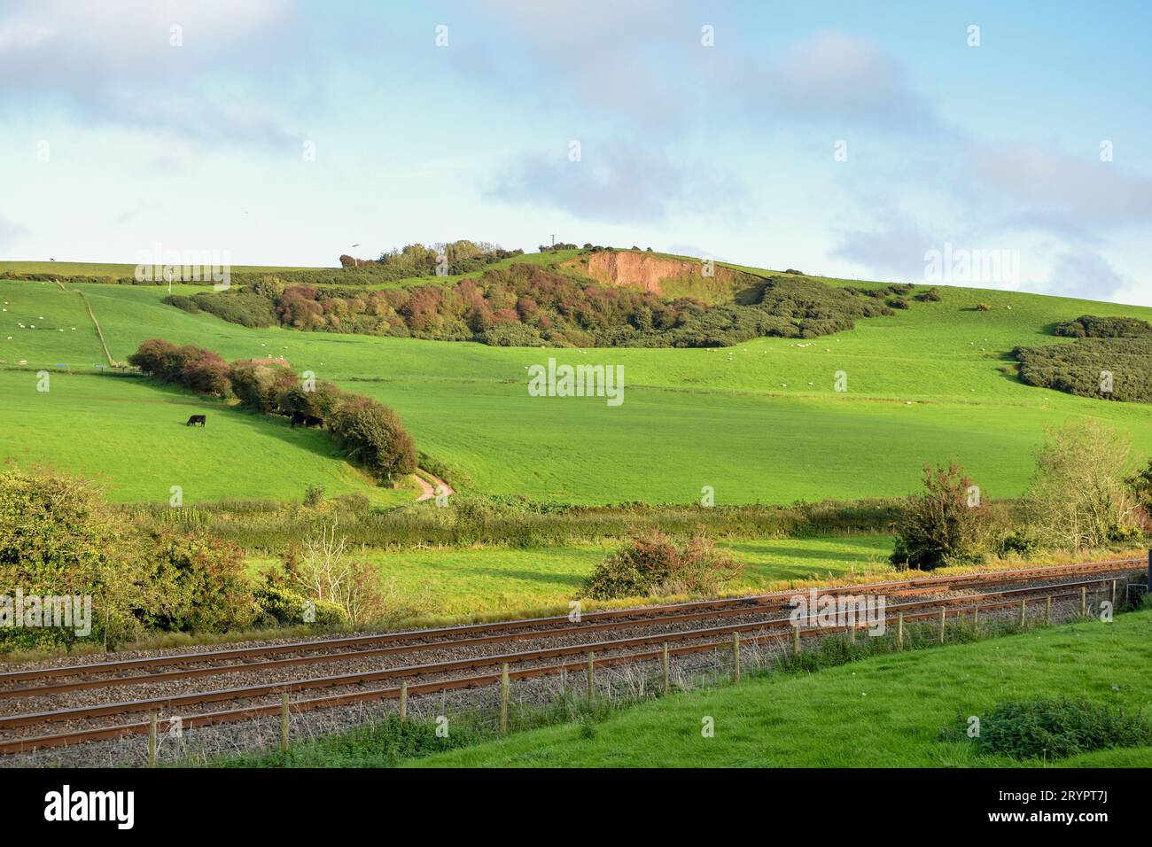Une ligne de chemin de fer à travers la campagne de Cumbria, avec du bétail visible dans les champs lointains. Banque D'Images