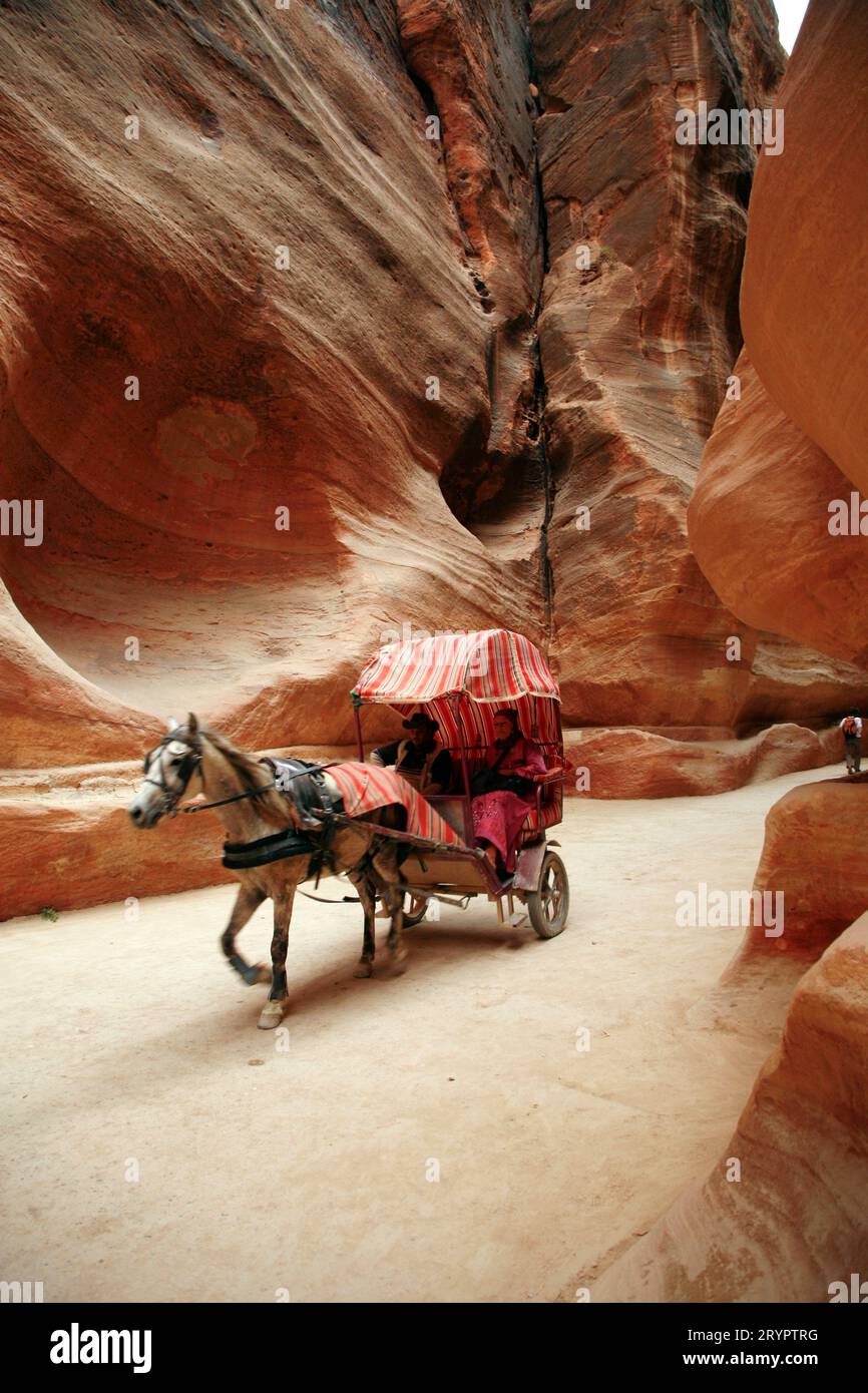 Transport de chevaux en passant par le siq, Petra, Jordanie. Banque D'Images