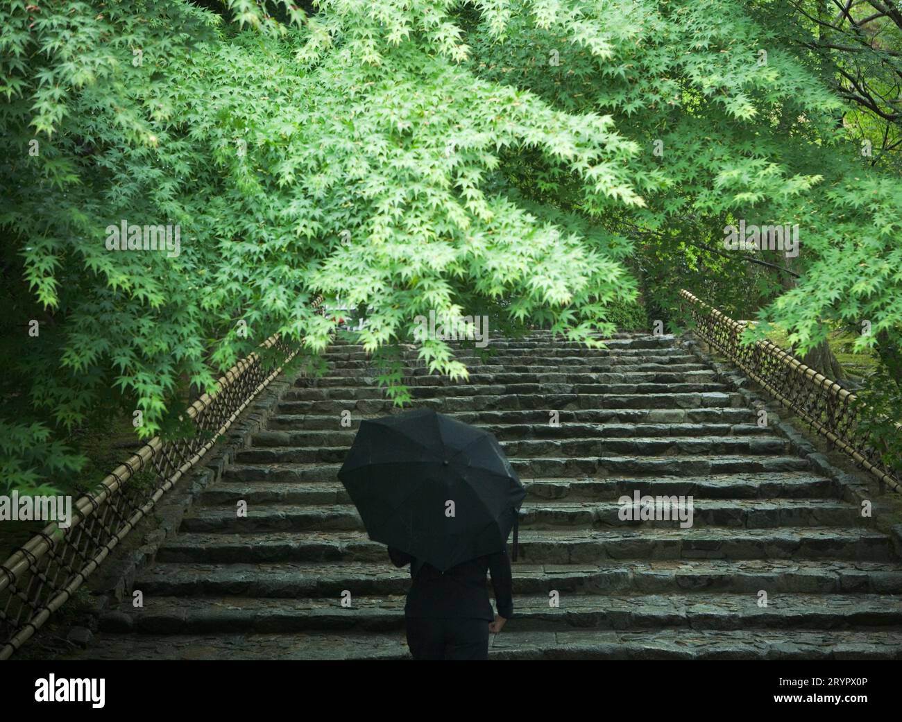 Vue arrière d'une personne avec un parapluie marchant vers le haut d'un escalier en pierre. Banque D'Images