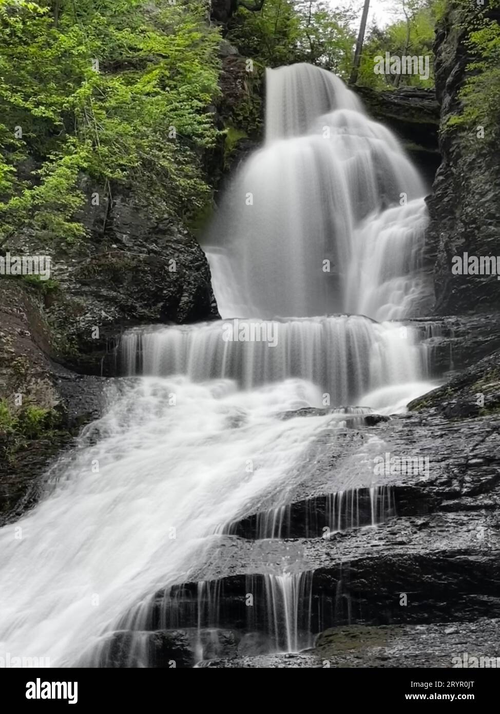 Une cascade majestueuse en cascade à travers un terrain rocheux dans une forêt luxuriante, Bushkill Falls, Pennsylvanie Banque D'Images