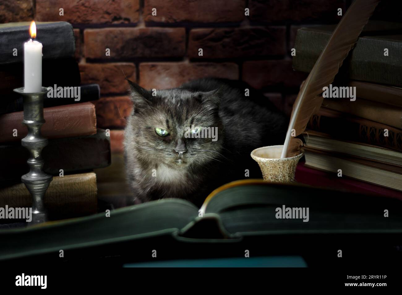 Chat noir lisant un grand livre à la lueur des chandelles Banque D'Images