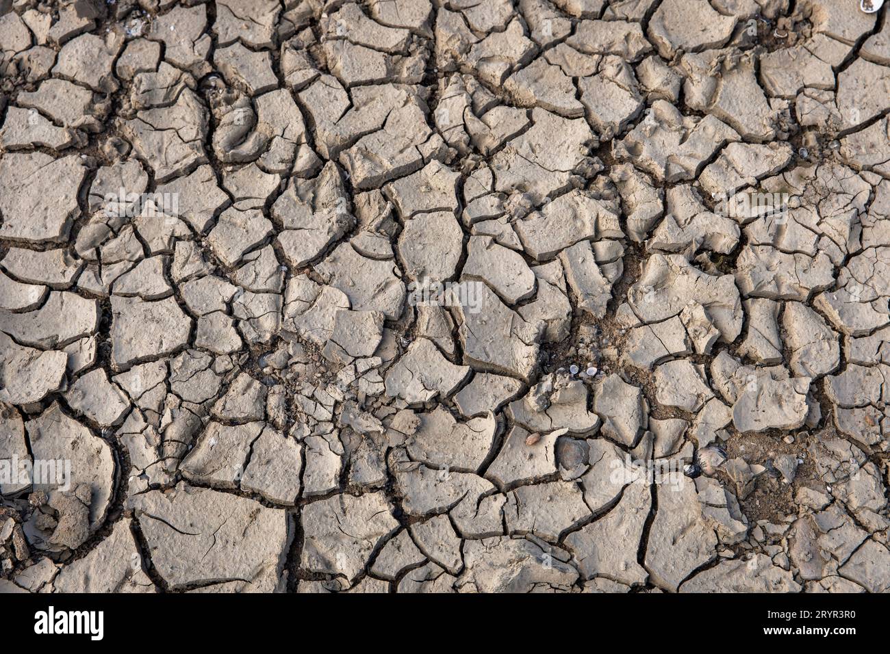 Sol sec et fissuré dans les prairies du Rhin à Cologne, Allemagne. 28 septembre 2023 trockener, rissiger Boden in den Rheinauen in Koeln, DEU Banque D'Images
