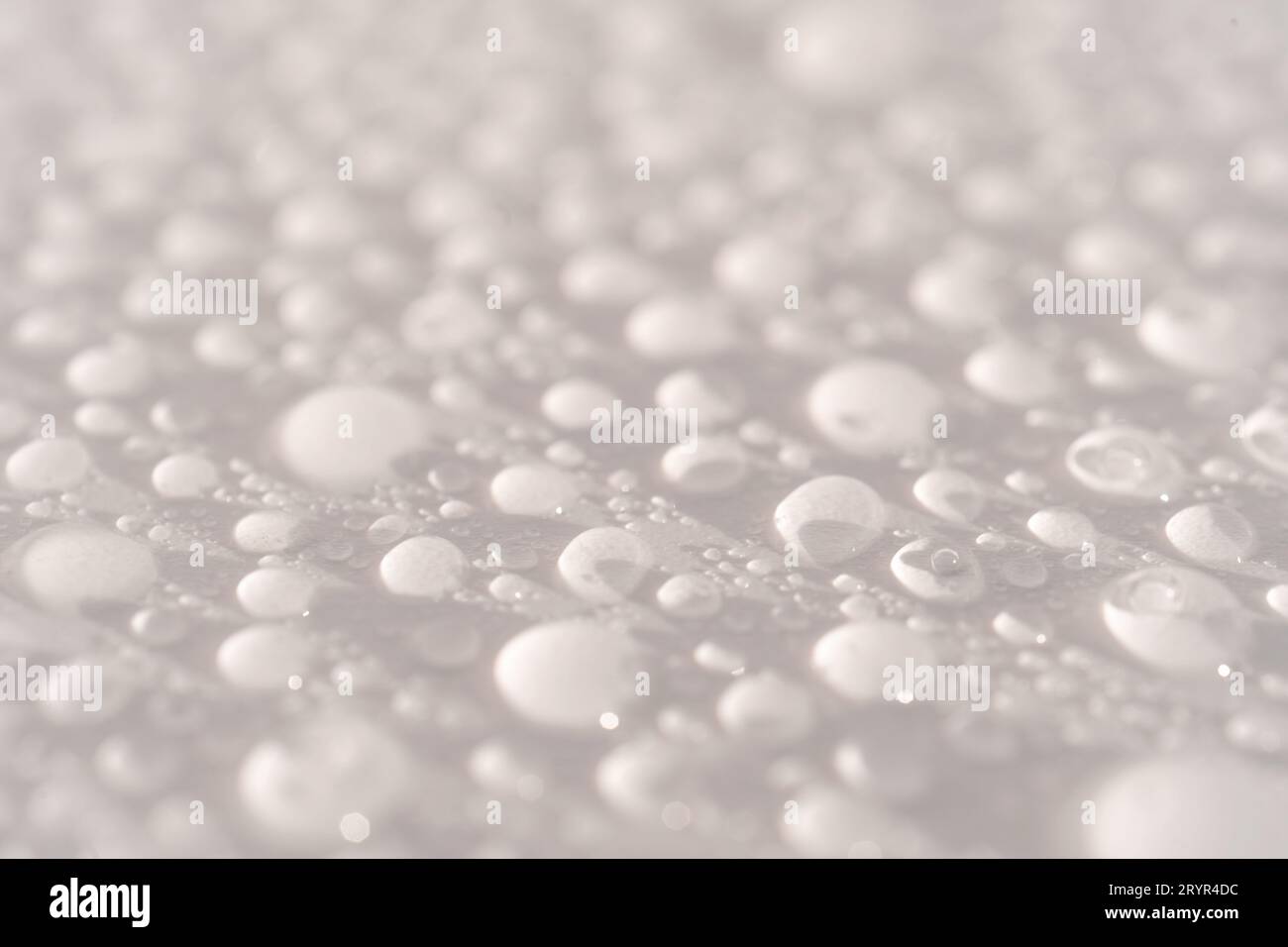 Beaucoup de gouttes sur fond blanc. Banque D'Images