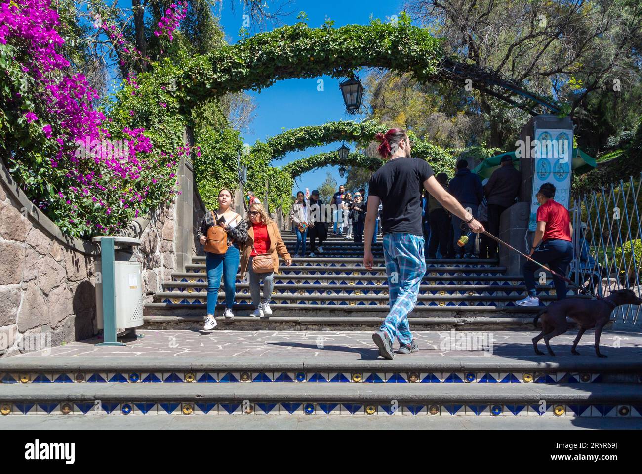 Mexico, CDMX, Mexique, Un mexicain qui se promène avec son chien dans un parc de Basílica de Nuestra Señora de Guadalupe. Editorial uniquement. Banque D'Images