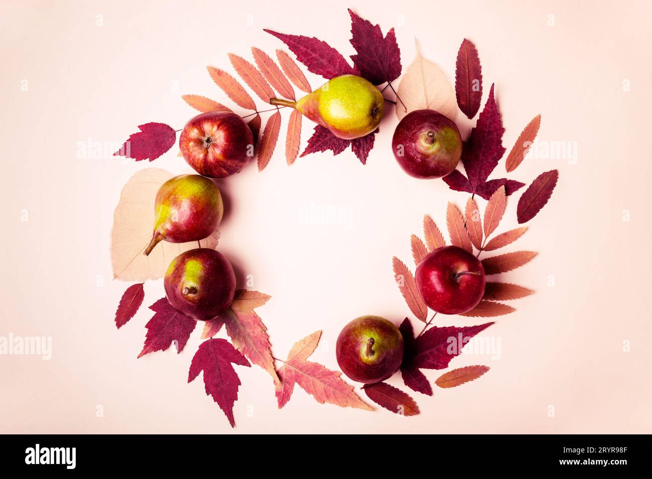 Guirlande de roses sèches naturelles feuilles et les poires sur fond rose. Concept la récolte d'automne. Banque D'Images