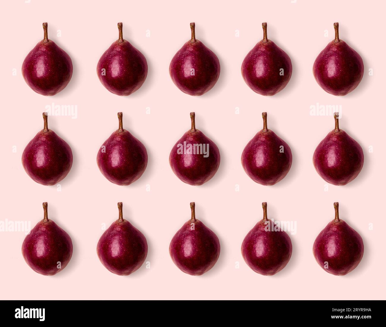 Poires violettes roses sur fond rose. Style minimaliste. Concept de récolte d'automne. Banque D'Images