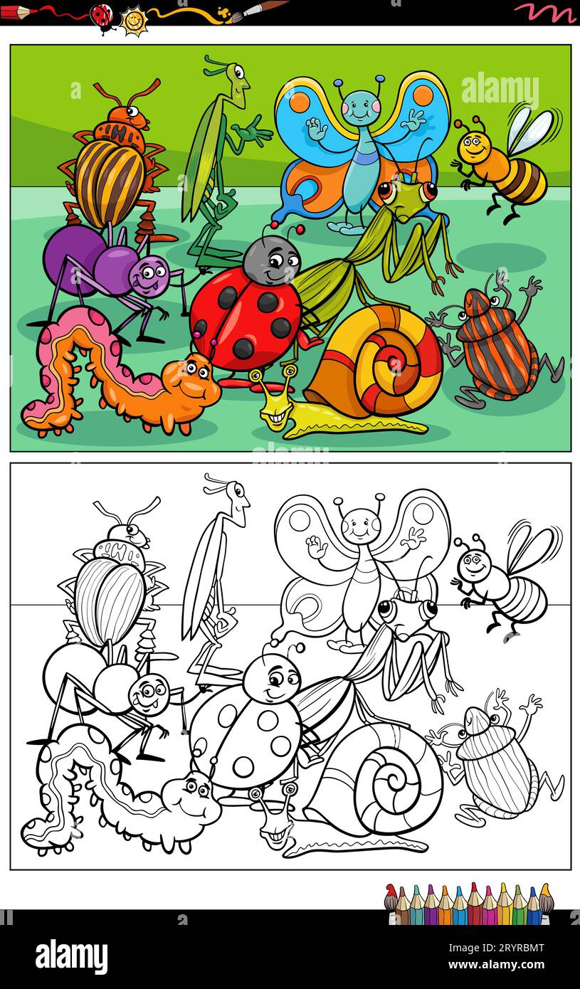 Dessins animés illustrations de drôle insectes animaux personnages groupe coloriage page Banque D'Images