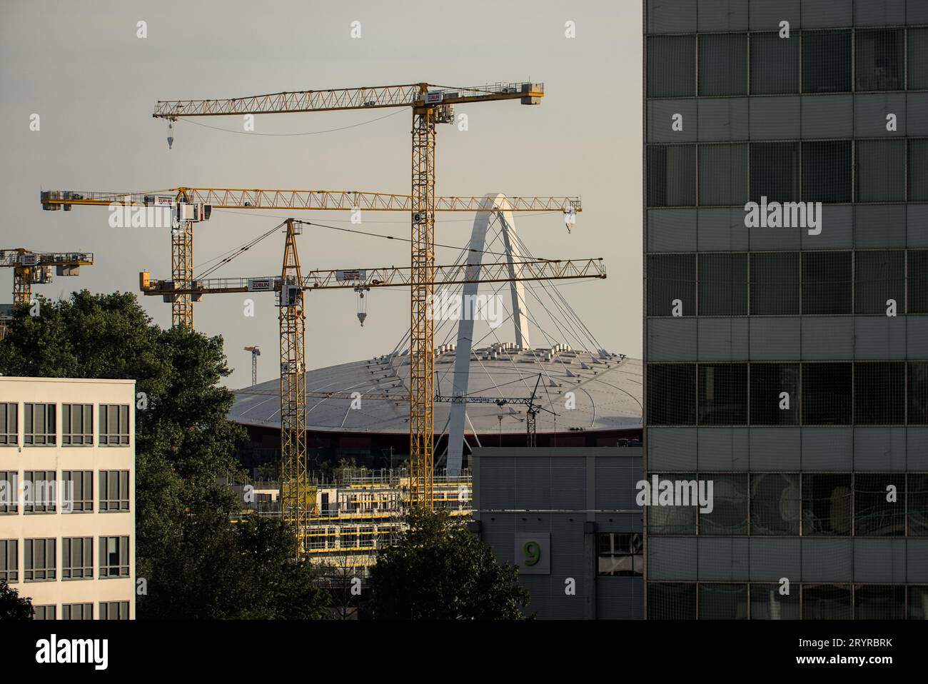 Une vue des grues de construction modernes dominant une grande structure dans une ville Banque D'Images