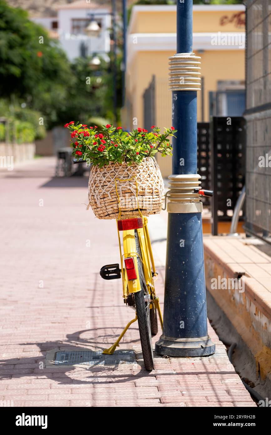 Un vélo jaune vif est parti dans une rue. Le vélo a un porte-roue arrière avec un panier contenant une plante à fleurs rouges Banque D'Images