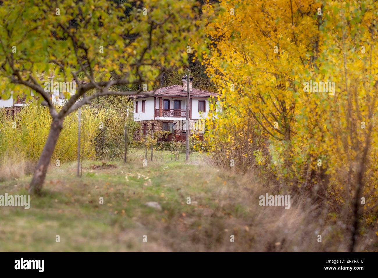Paysage d'automne avec des arbres et des maisons, Bulgarie Banque D'Images