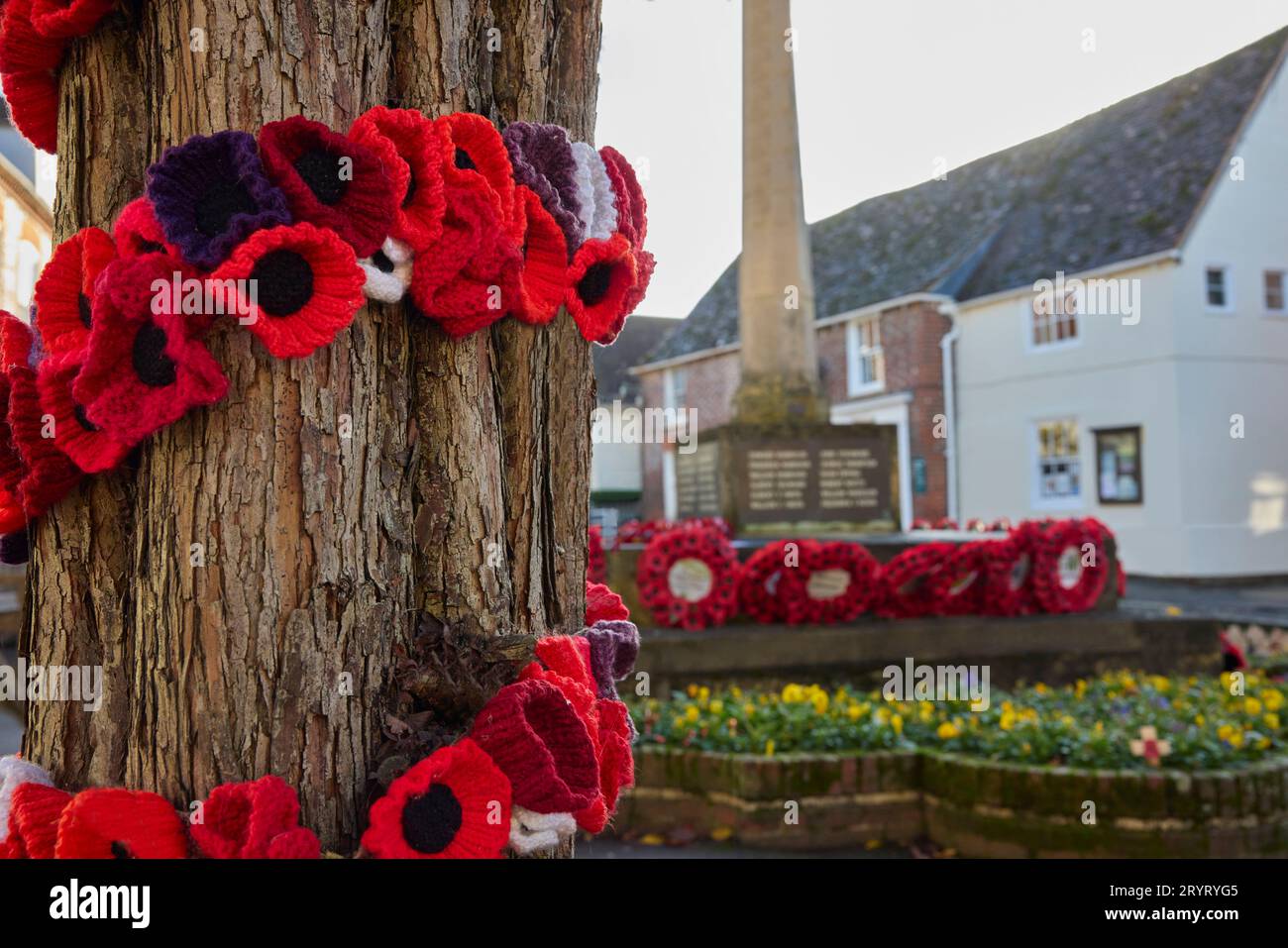 Coquelicots tricotés autour de l'arbre pour le jour du souvenir avec Mémorial de guerre et couronnes de coquelicot en arrière-plan Banque D'Images