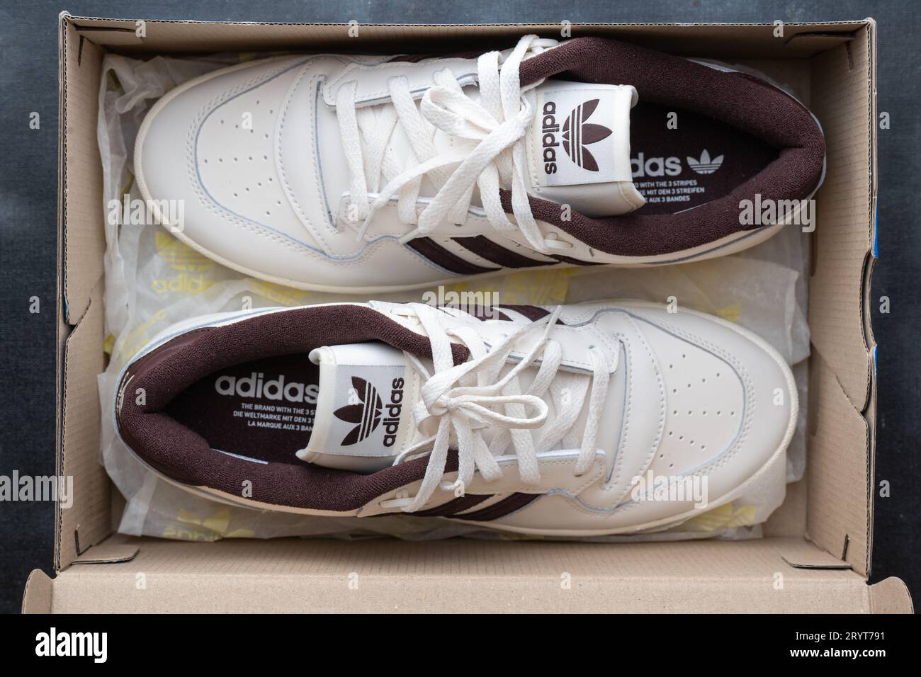 Doha, Qatar - 2 octobre 2023 : Sneaker Adidas Rivalry Low. Style de basket-ball rétro inspiré des années 80 conçu pour les athlètes. Banque D'Images