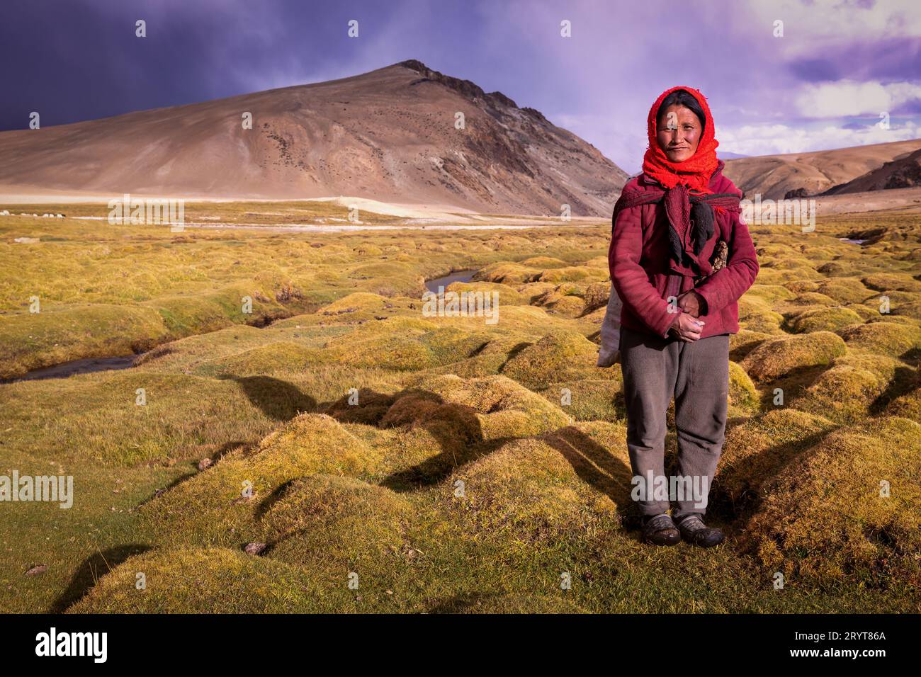 En-tête féminin du peuple Changpa, Korzok, Ladakh, Inde Banque D'Images