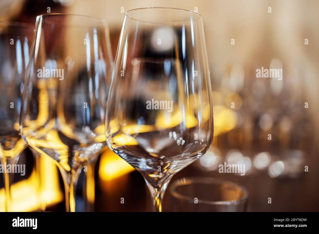 Extrime gros plan de verres à champagne vides dans une rangée. Gobelet à vin à la réception de mariage, bar à alcool, restauration au restaurant. Banque D'Images