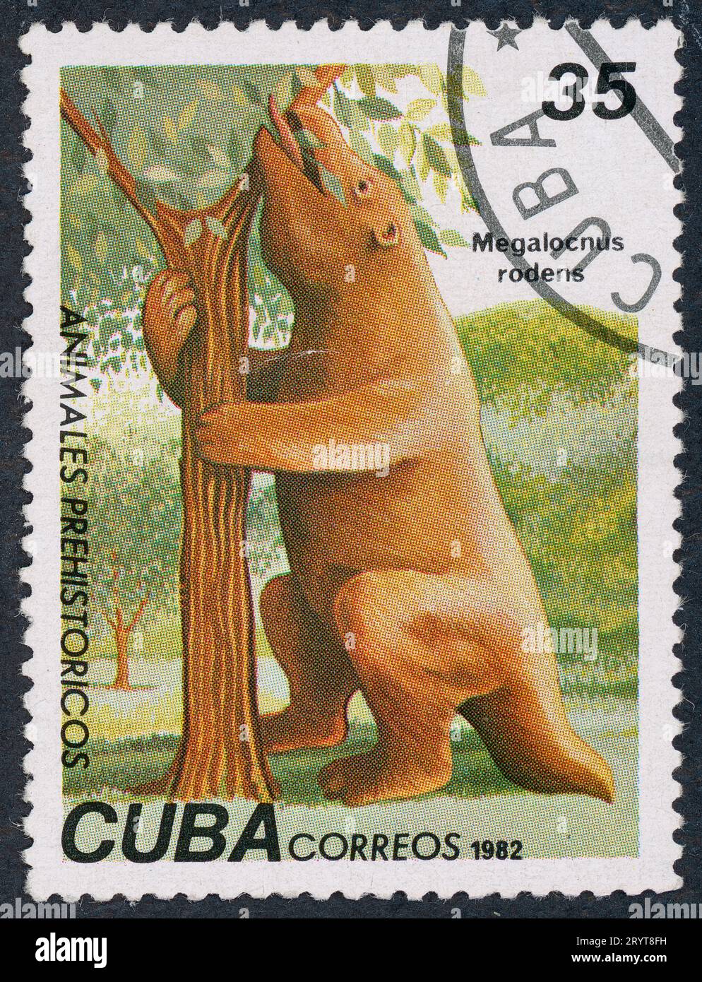 Megalocnus (« grand paresseux » en grec) est un genre de paresseux éteints originaires de Cuba. Timbre-poste émis à Cuba en 1982. Banque D'Images