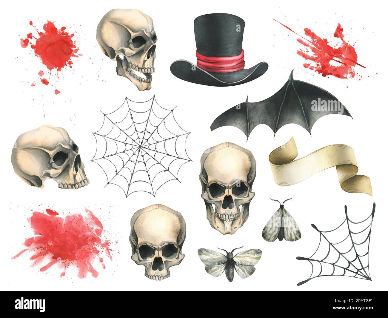 Crânes humains avec des ailes de chauve-souris noires, chapeau haut, taches de sang, toiles d'araignée, mois et rouleau de papier pour les vacances du jour de la mort et Halloween. Aquarelle Banque D'Images