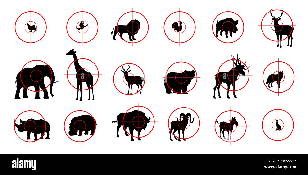 Cibles sportives de chasse, silhouettes d'animaux pour champ de tir de chasse, icône vectorielle. Chasseur visée viseur avec cerf, cerf ou cerf et lion avec girafe pour safari, tétras ou perdrix avec sanglier Illustration de Vecteur