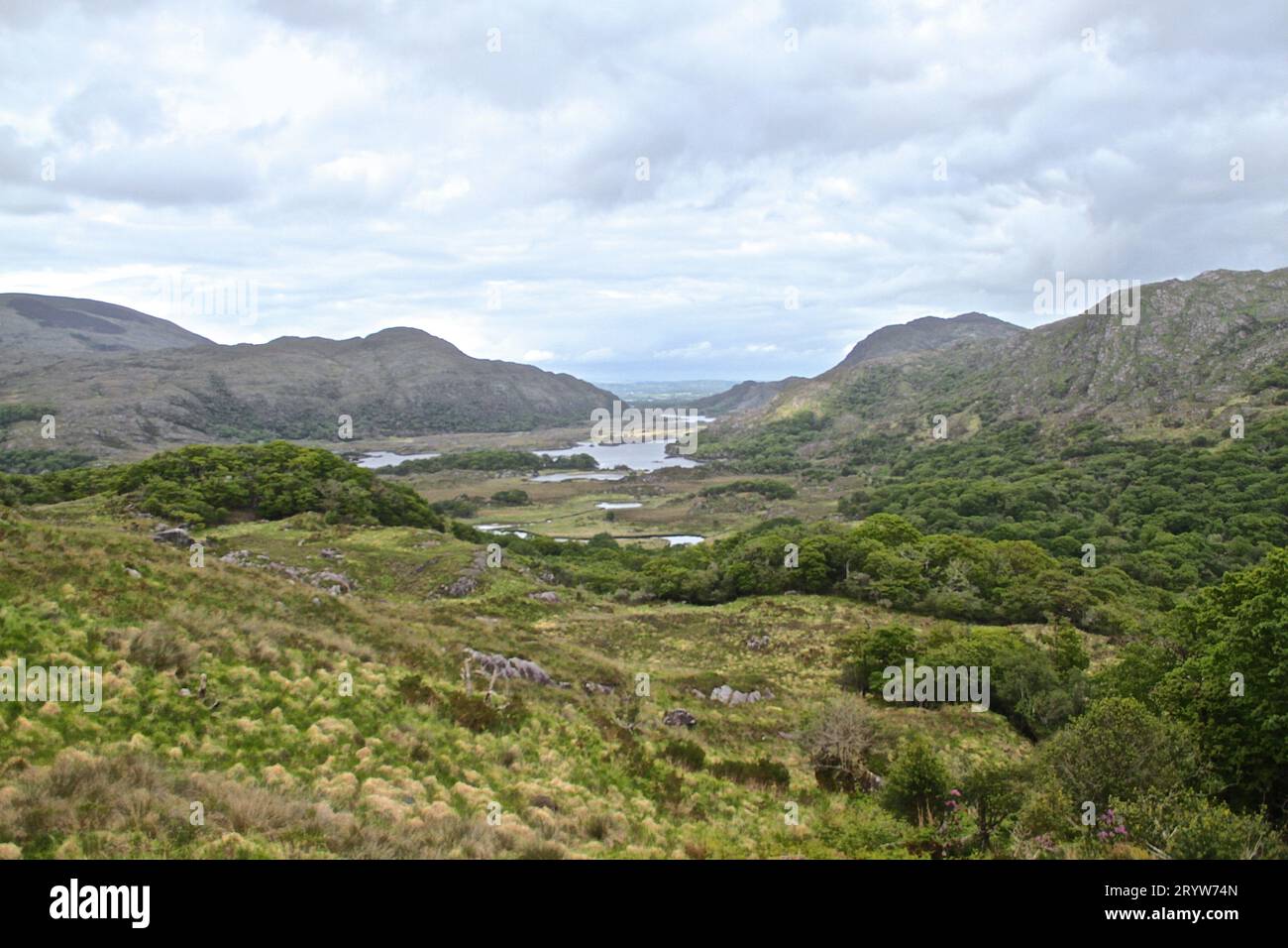 Irlande. Nature irlandaise. Collines. Killarney. Paysage.paysage irlandais. Collines. Nature.Nord. Nordic.Voyager. Холмы. Ирландия. Banque D'Images