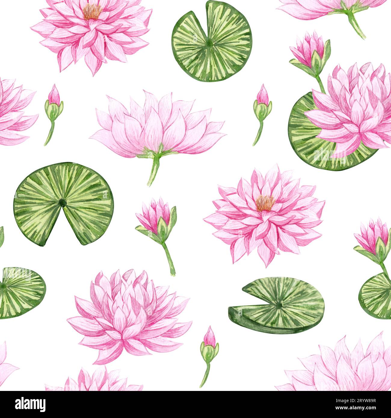 Motif sans couture aquarelle avec belle fleur de lotus. Nénuphars roses dessinés à la main et feuilles de fond floral Banque D'Images