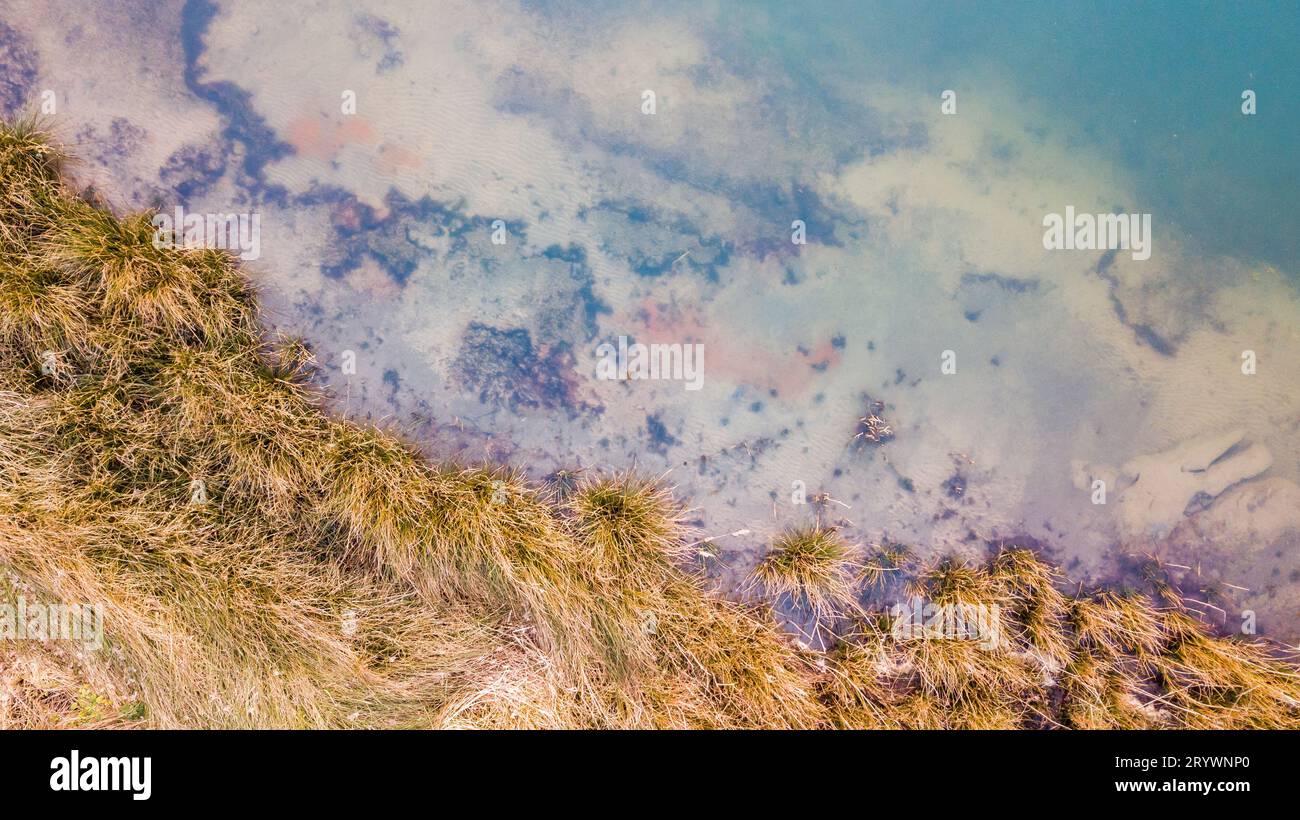 Vue aérienne du haut vers le bas du bord de l'eau d'un lac forestier à l'automne Banque D'Images