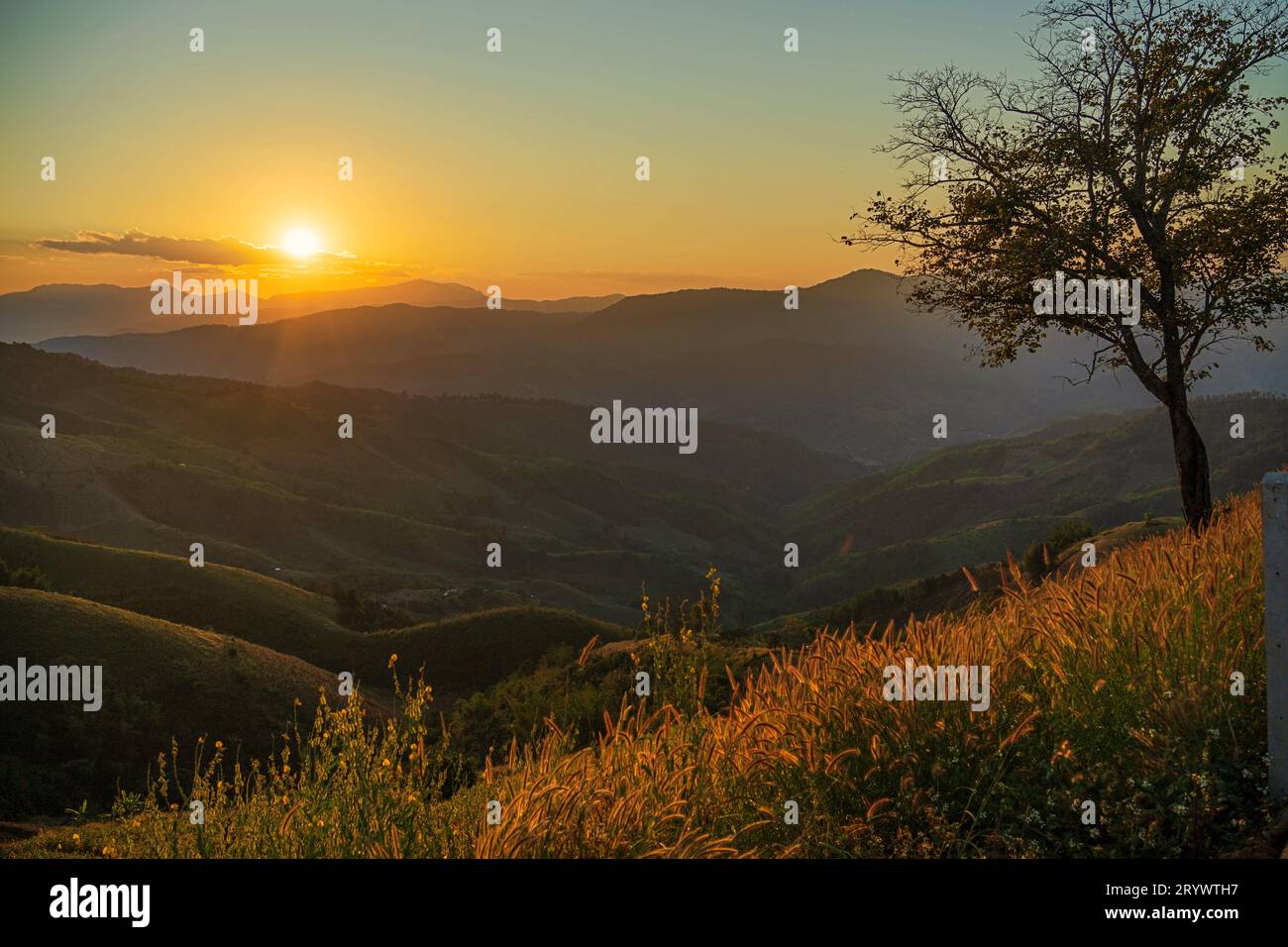 Montagnes d'été avec vue sur le coucher du soleil de la montagne de falaise de nature. Banque D'Images
