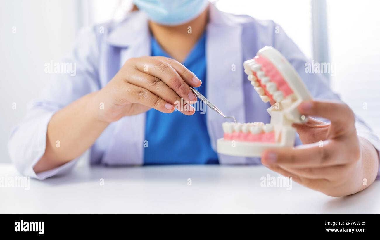 Dentiste à la clinique dentaire dent blanche en bonne santé avec modèle dentaire chez les chirurgiens buccaux discutant de la radiographie de mâchoire sur tabletÂ Medicine healc Banque D'Images