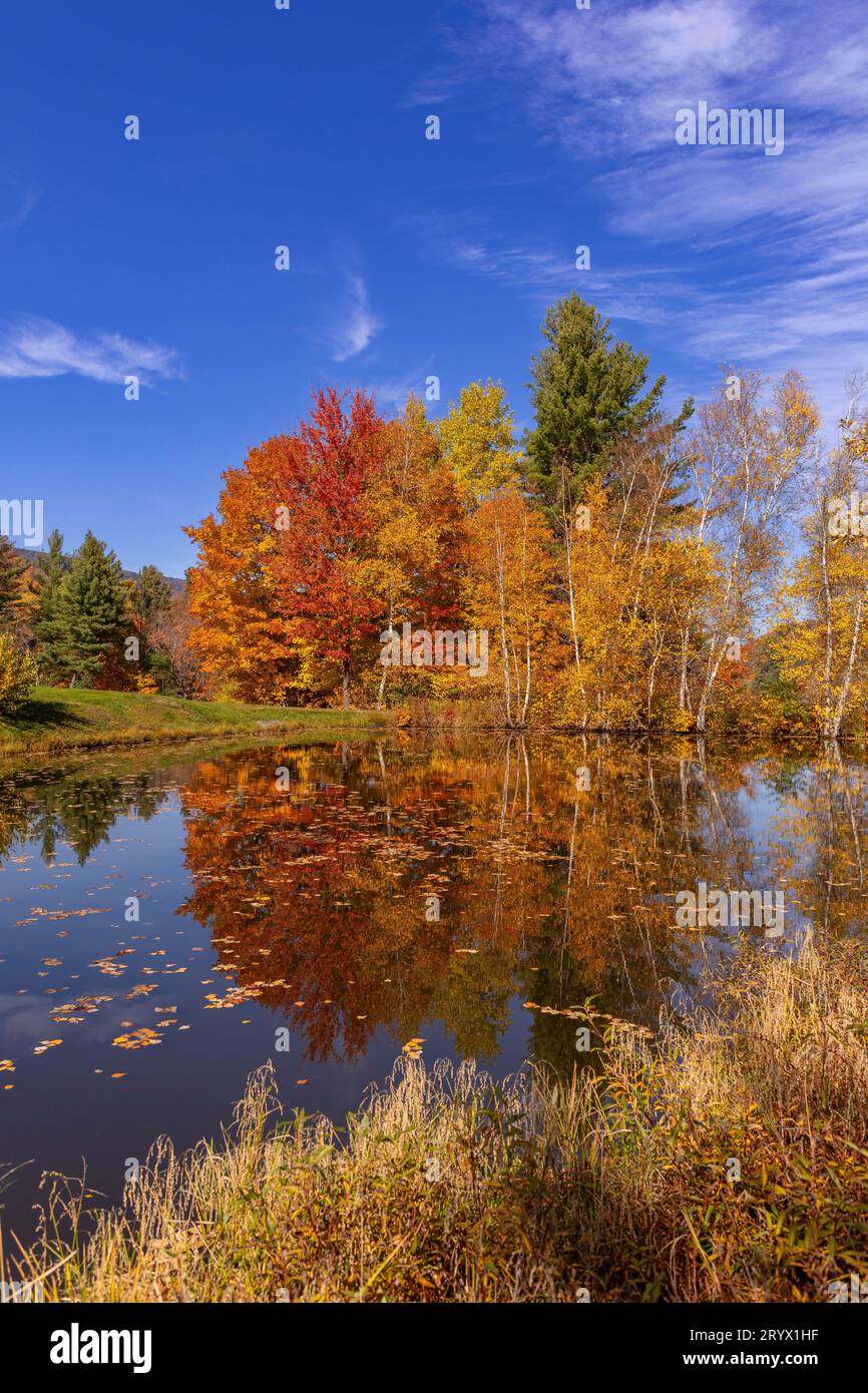 WARREN, VERMONT, États-Unis - feuillage d'automne dans la vallée de la rivière Mad, Green Mountains. Banque D'Images