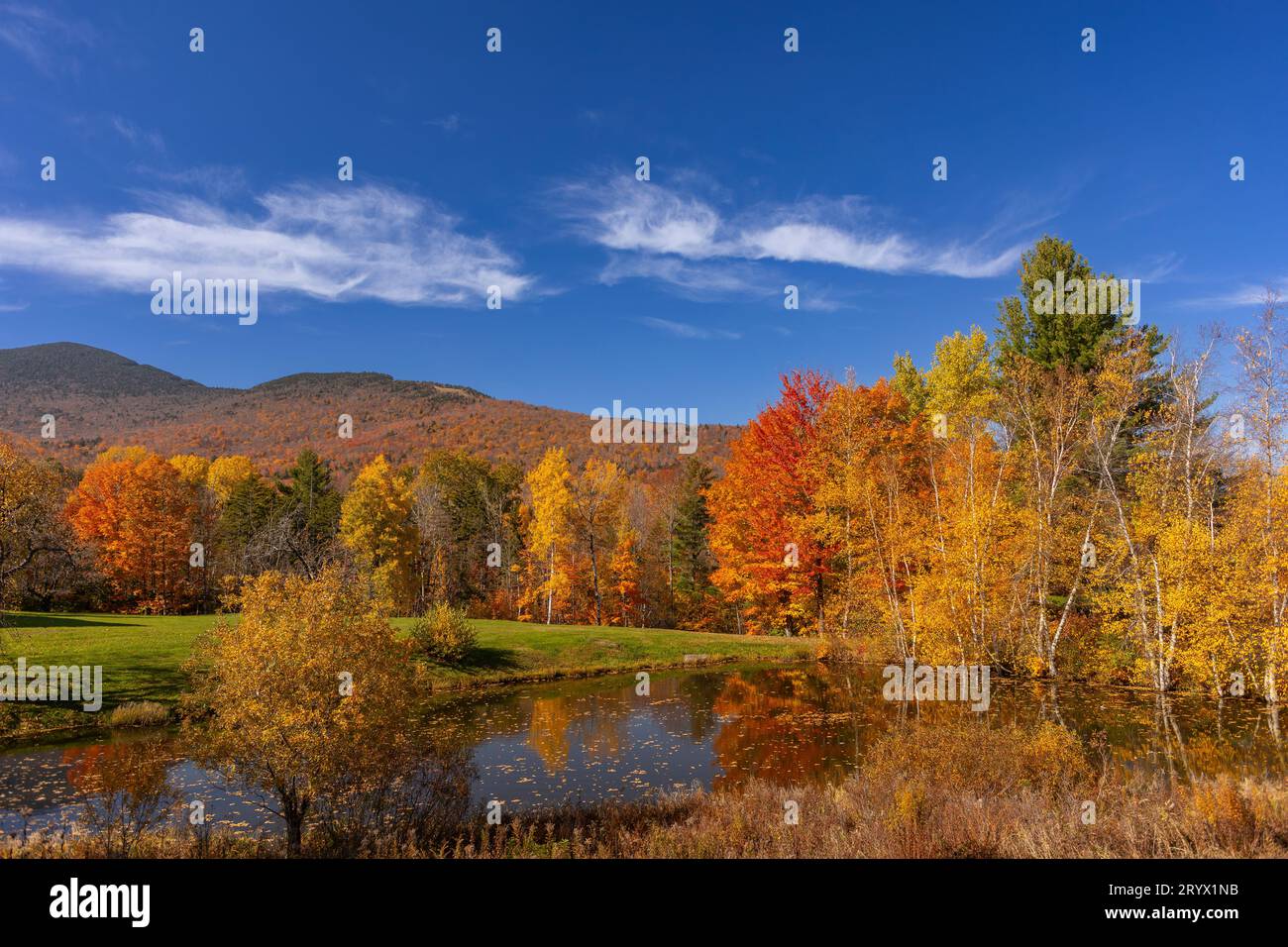 WARREN, VERMONT, États-Unis - feuillage d'automne dans la vallée de la rivière Mad, Green Mountains. Banque D'Images