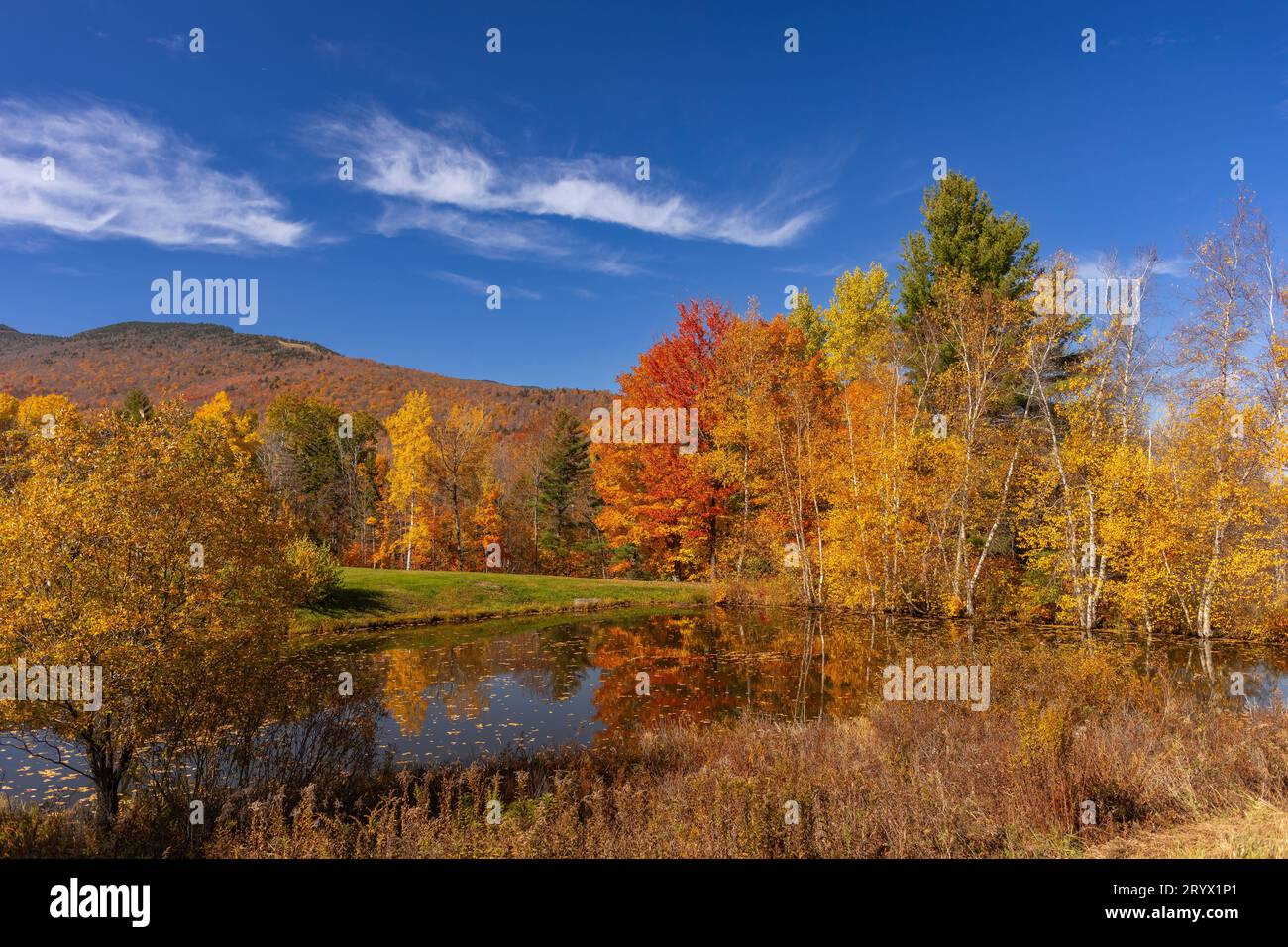 WARREN, VERMONT, États-Unis - feuillage d'automne dans la vallée de la rivière Mad, Green Mountains. Banque D'Images