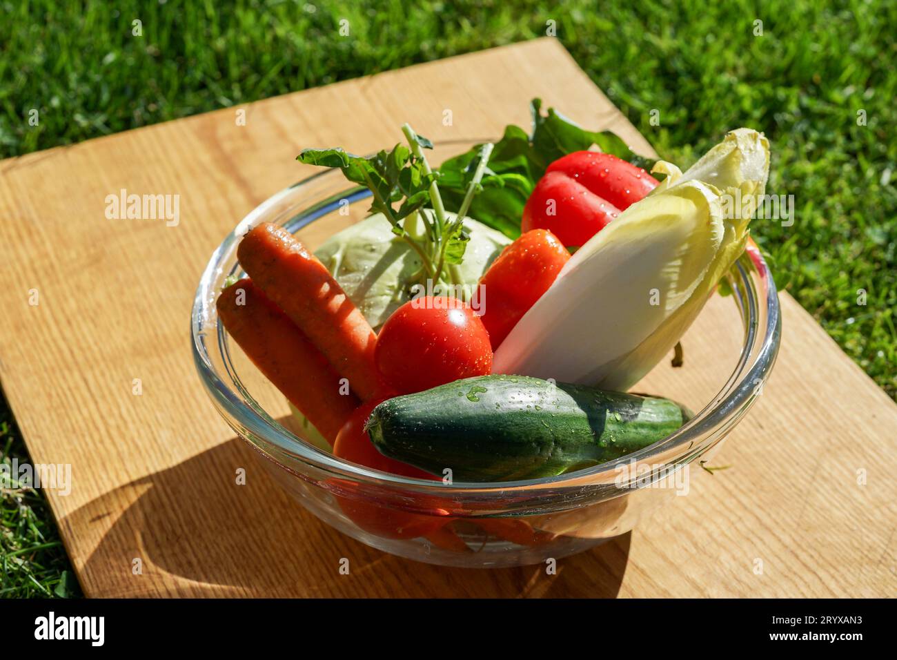 Légumes frais sur la table dans le jardin Banque D'Images