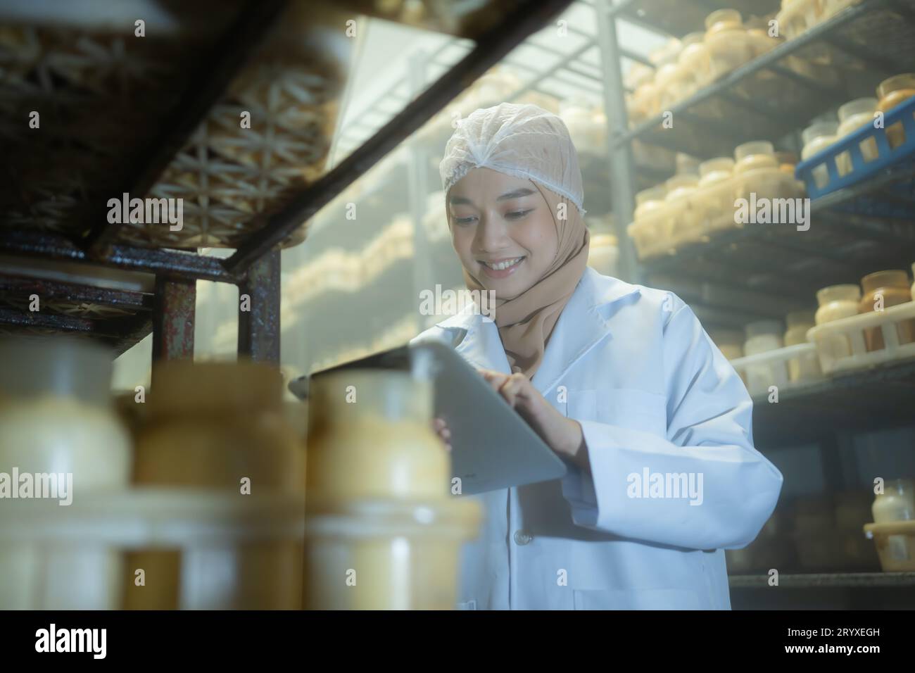 Jeune scientifique musulmane asiatique faisant des recherches dans une usine de champignons, examinant l'agent levant de champignons dans un stérile et te Banque D'Images