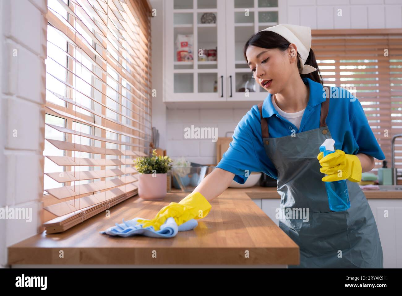 Service de nettoyage. Gros plan d'une femme en tablier et gants en caoutchouc nettoyant la table en bois avec du spray Banque D'Images