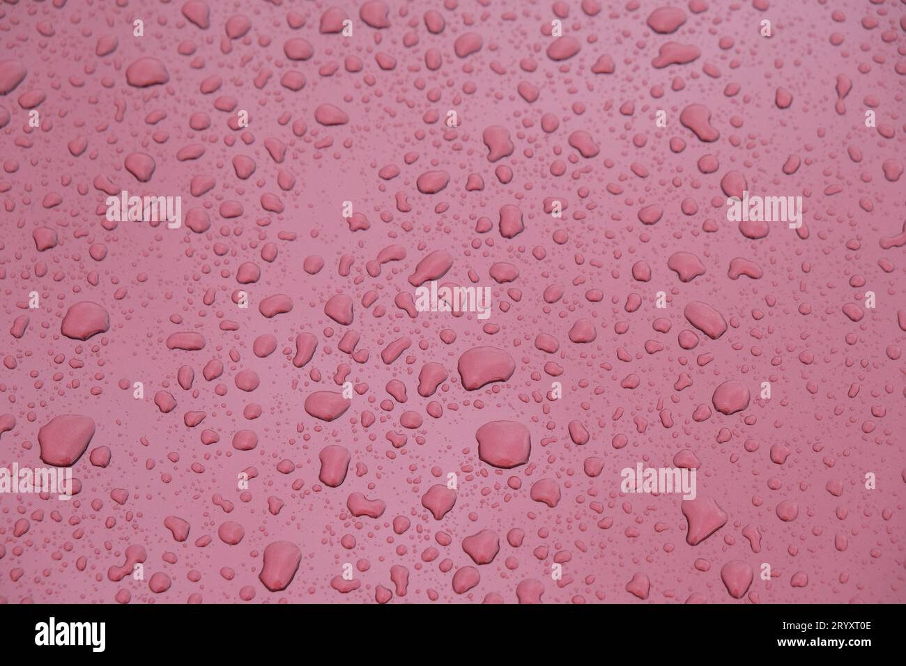 Fond d'écran abstrait de goutte d'eau sur la zone de surface humide de couleur rouge de Claret. Mise au point sélective incluse. Banque D'Images
