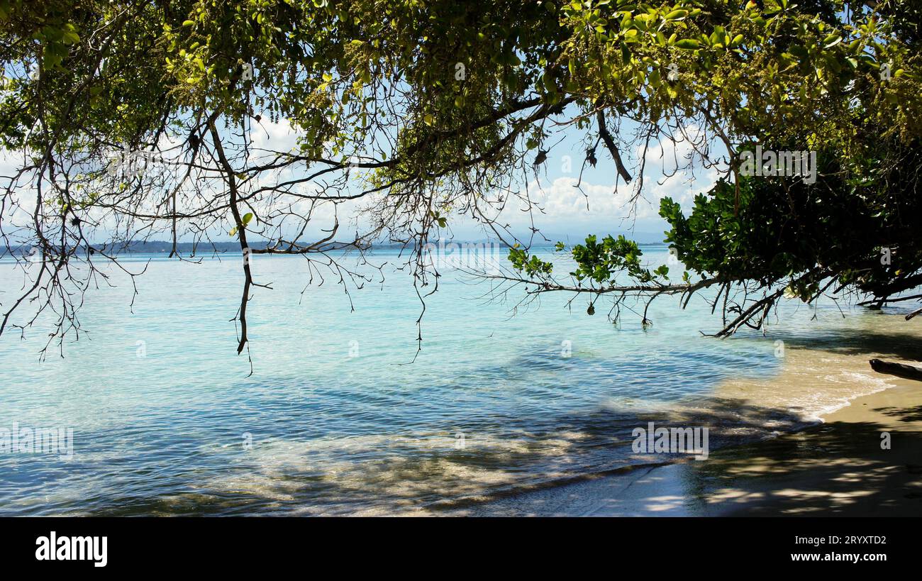 Panama Caribbean plage tropicale Banque D'Images