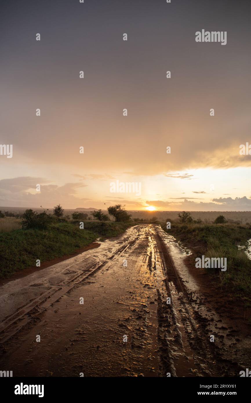 Merveilles expansives : savane kenyane avec Rainbow Panorama Banque D'Images