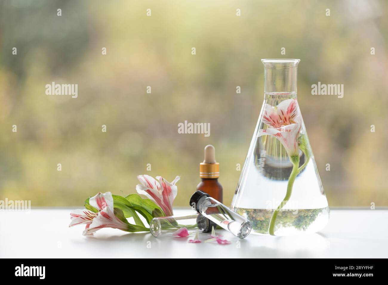 Soins spa FREESIA fleur sur table en bois blanc. Concept de relaxation de massage de soins de santé et de thérapie corporelle. Beauté et santé Banque D'Images