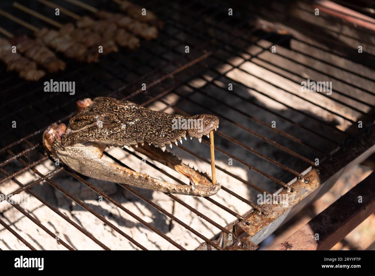 Close up de tête de crocodile grillés sur le charbon cuisinière dans la rue du marché. Concept de l'alimentation et la cuisine exotique. Banque D'Images