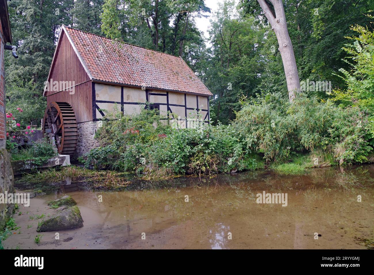 Vieux moulin à eau, ruisseau cristallin, idylle, réserve naturelle de Schnegaer Muehlenbachtal, Wendland, Basse-Saxe, Allemagne Banque D'Images