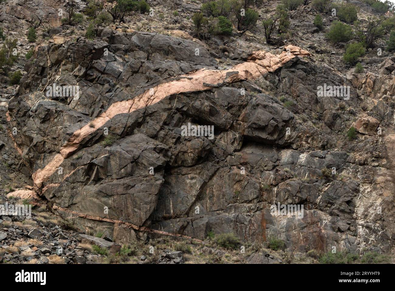 Strie de pegmatite rose en formation gris foncé dans Bighorn Sheep Canyon, comté de Teller, Colorado Banque D'Images