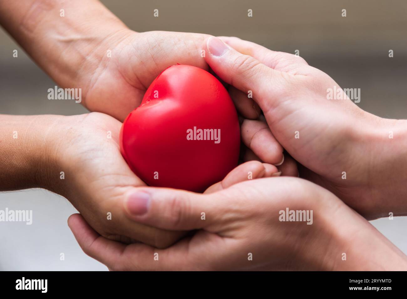 Gros plan donnant un cœur rouge comme donneur de cœur. Saint-Valentin du concept d'amour. Ventilateur médical et don de coeur. Signe Banque D'Images