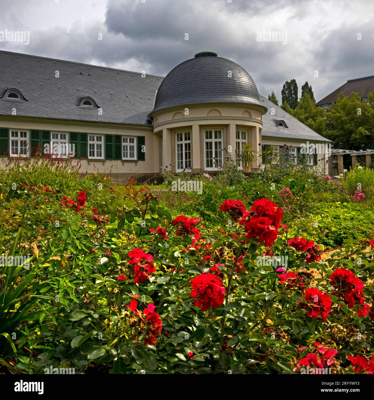 Roseraie, jardin du palais dans le parc thermal, Bad Pyrmont, Basse-Saxe, Allemagne, Europe Banque D'Images
