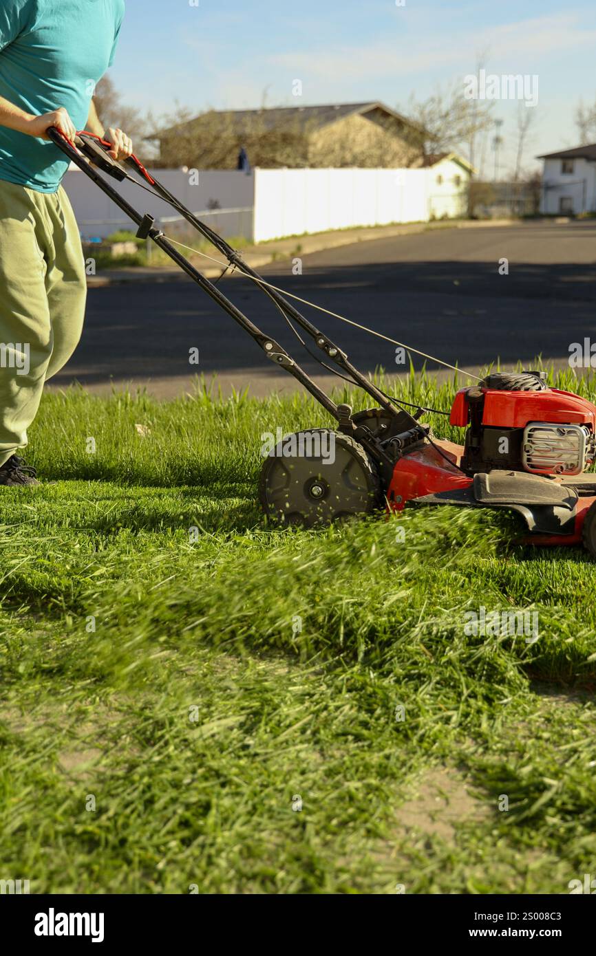 Personne fauchant une pelouse avec de l'herbe coupée éparpillée Banque D'Images