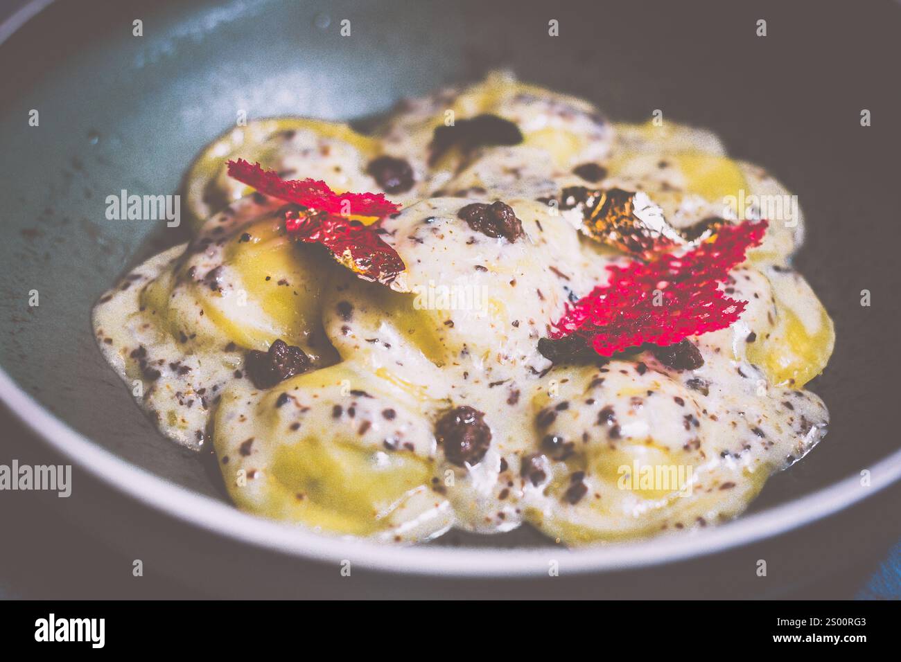 Raviolis truffe avec sauce à la crème française à la truffe, fromage italien Parmiggiano Reggiano, purée de truffe italienne et huile de dentelle de truffe Banque D'Images