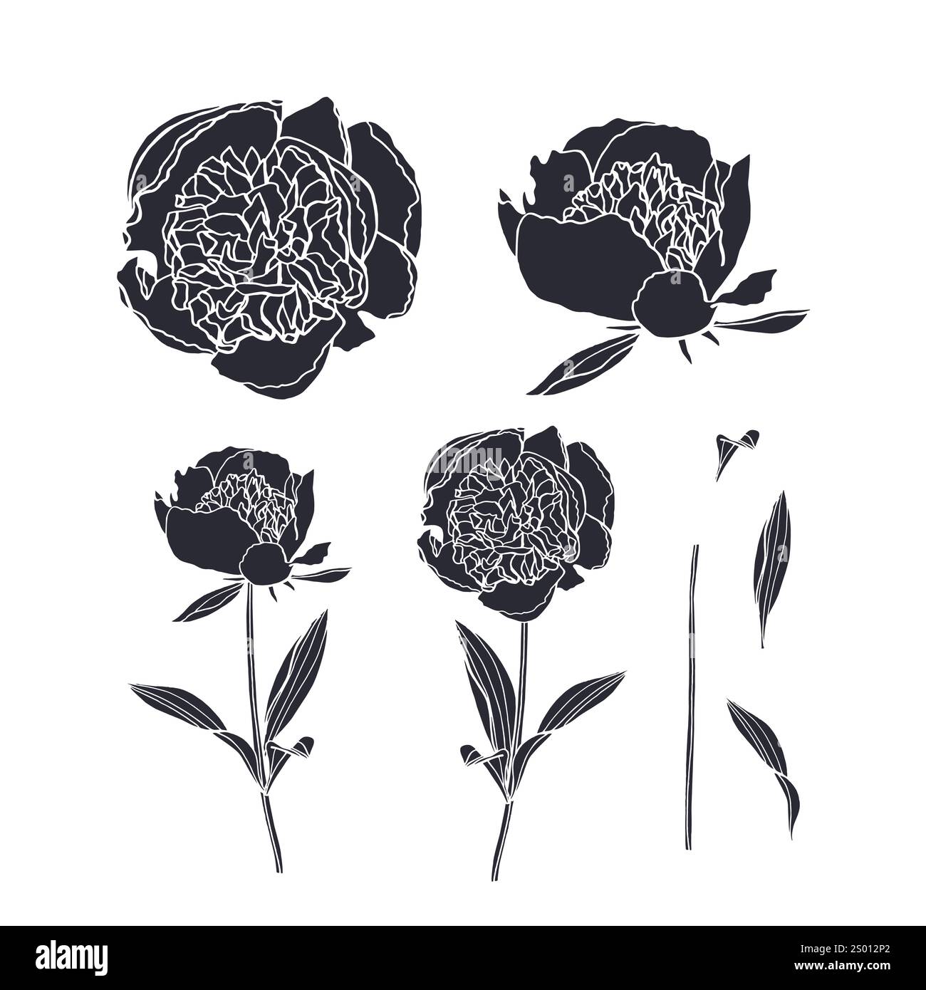 Ensemble de silhouettes noires de fleurs de pivoine et de feuilles isolées sur blanc Illustration de Vecteur