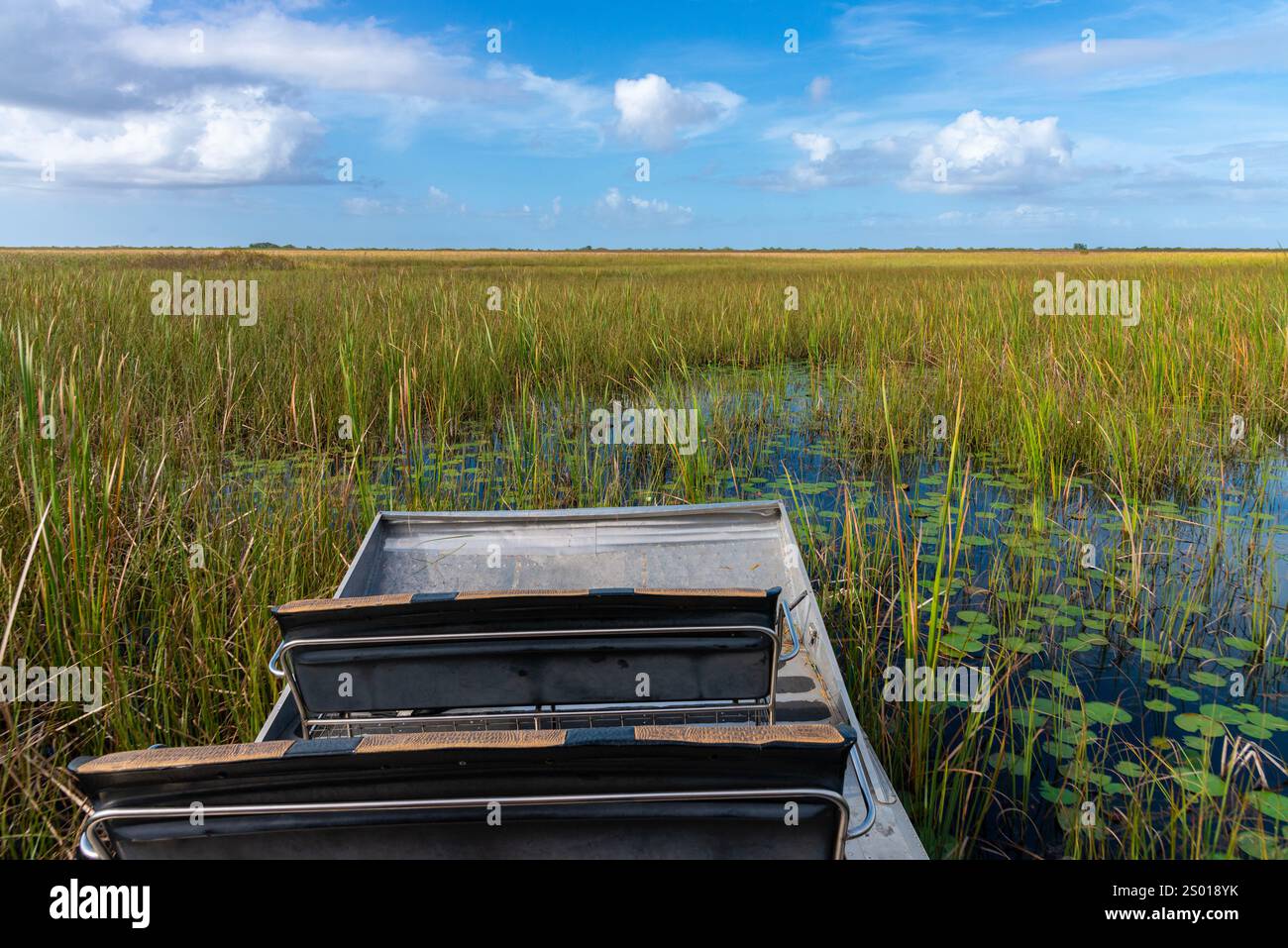 Excursion en hydroglisseur dans le parc national des Everglades de Floride, Floride, États-Unis Banque D'Images