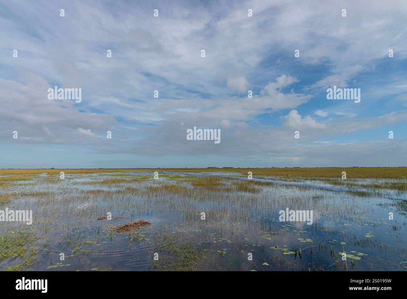 Parc national des Everglades de Floride, Floride États-Unis Banque D'Images