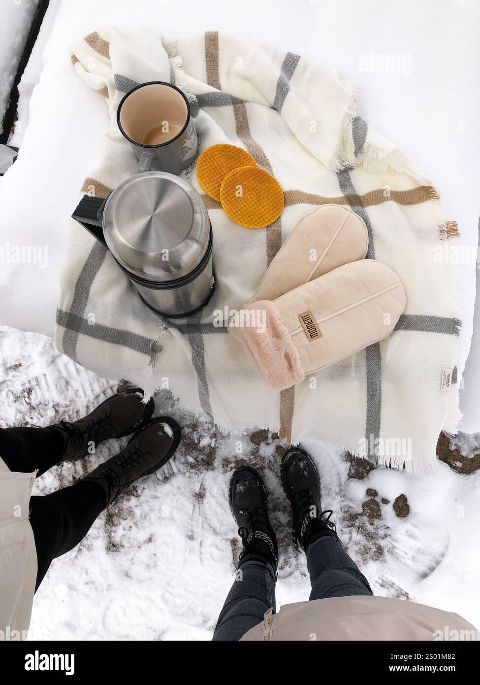 Cette photo capture l'essence d'une sortie hivernale, mettant en scène une charmante configuration de pique-nique sur une surface enneigée. Une couverture douce à carreaux fournit la base, Banque D'Images