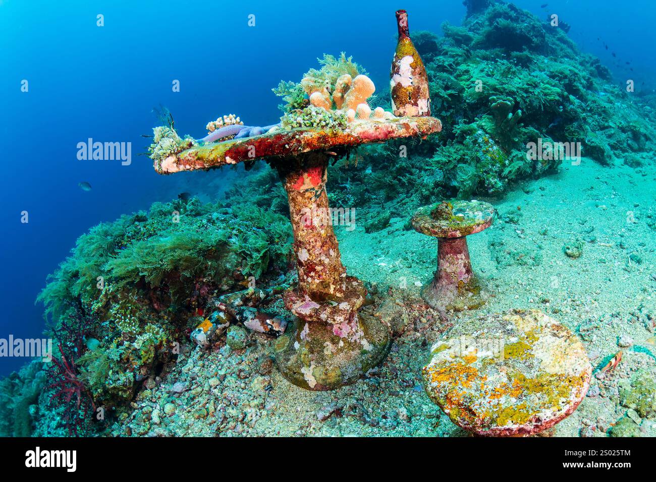 Table sous-marine, chaises et bouteille sur un récif corallien tropical à Bali Banque D'Images
