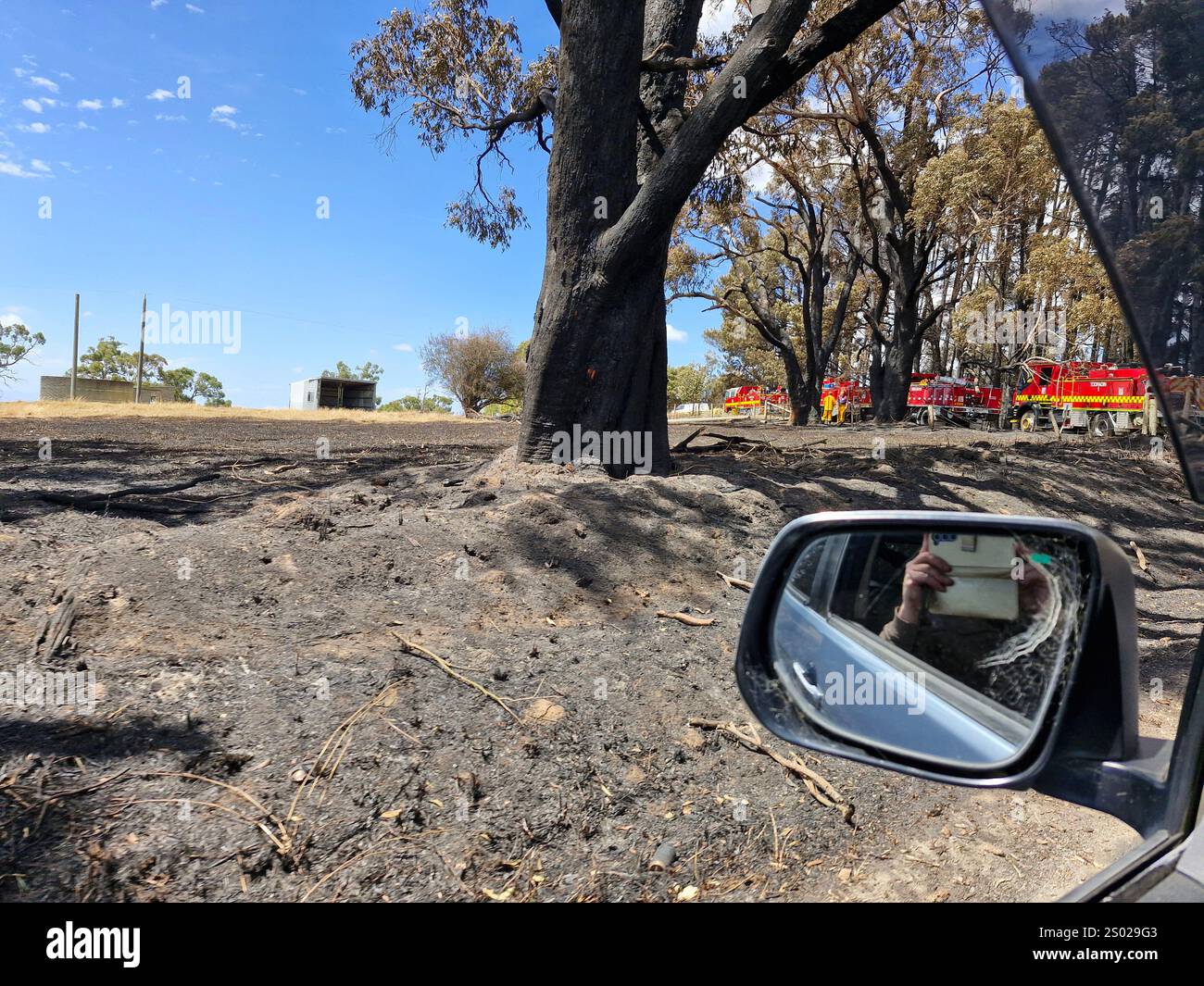 Gurdies-St Helier Rd Victoria Australia Bushfire 2024 Banque D'Images