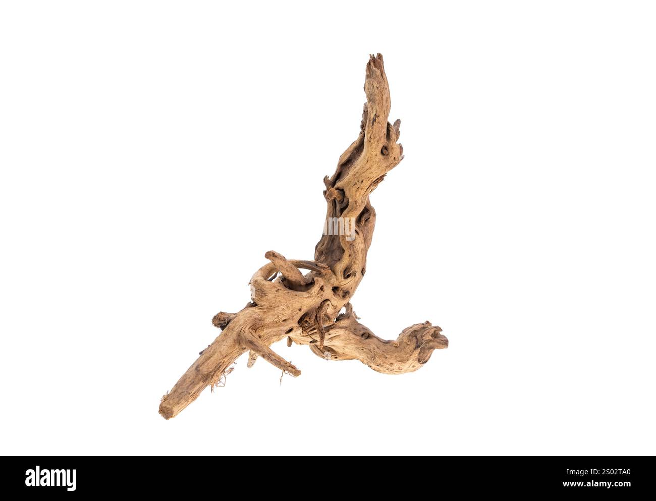 Accroc en bois, Driftwood ou bois vieilli isolé sur fond blanc Banque D'Images